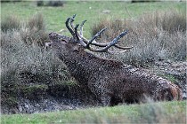 SteCroix 16-09-27 0822   Photos ACG 2016