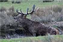 SteCroix 16-09-27 0824   Photos ACG 2016