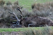 SteCroix 16-09-27 0839   Photos ACG 2016