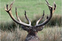 SteCroix 16-09-27 0867   Photos ACG 2016