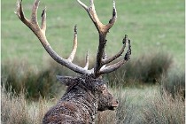 SteCroix 16-09-27 0874   Photos ACG 2016