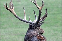 SteCroix 16-09-27 0915   Photos ACG 2016