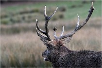 SteCroix 16-09-27 0920   Photos ACG 2016