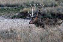 SteCroix 16-09-27 0949   Photos ACG 2016