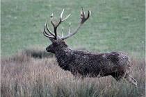 SteCroix 16-09-27 0956   Photos ACG 2016