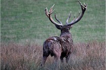 SteCroix 16-09-27 0971   Photos ACG 2016