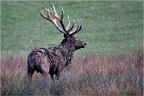 SteCroix 16-09-27 0973   Photos ACG 2016