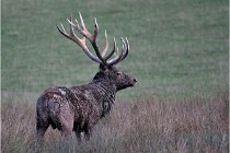 SteCroix 16-09-27 0975   Photos ACG 2016