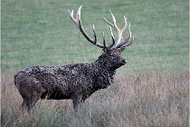 SteCroix 16-09-27 0991   Photos ACG 2016