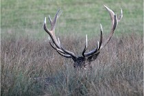 SteCroix 16-09-27 1003   Photos ACG 2016