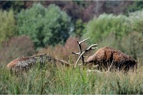 SteCroix 16-09-28 0017   Photos ACG 2016