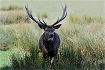 SteCroix 16-09-28 0033   Photos ACG 2016