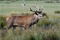 SteCroix 16-09-28 0041   Photos ACG 2016