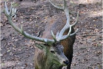 SteCroix 16-09-28 0069   Photos ACG 2016