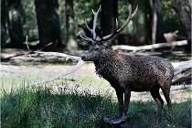 SteCroix 16-09-28 0104   Photos ACG 2016