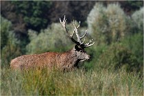 SteCroix 16-09-28 0121   Photos ACG 2016