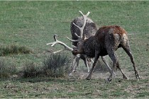 SteCroix 16-09-28 0165   Photos ACG 2016