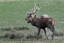 SteCroix 16-09-28 0167   Photos ACG 2016