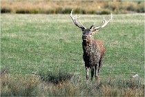 SteCroix 16-09-28 0195   Photos ACG 2016