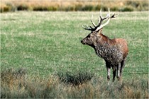 SteCroix 16-09-28 0197   Photos ACG 2016