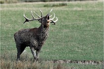 SteCroix 16-09-28 0200   Photos ACG 2016