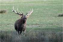 SteCroix 16-09-28 0216   Photos ACG 2016