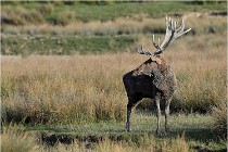 SteCroix 16-09-28 0298   Photos ACG 2016