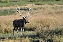 SteCroix 16-09-28 0301   Photos ACG 2016