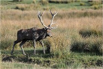 SteCroix 16-09-28 0302   Photos ACG 2016