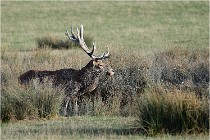 SteCroix 16-09-28 0313   Photos ACG 2016