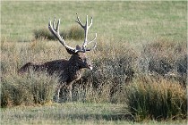 SteCroix 16-09-28 0329   Photos ACG 2016