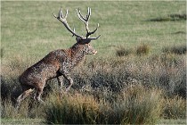 SteCroix 16-09-28 0333   Photos ACG 2016