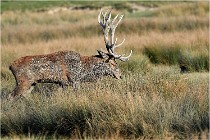 SteCroix 16-09-28 0361   Photos ACG 2016