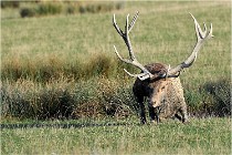 SteCroix 16-09-28 0380   Photos ACG 2016