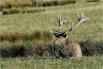 SteCroix 16-09-28 0383   Photos ACG 2016