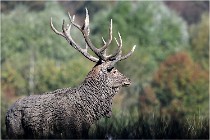 SteCroix 16-09-28 1098   Photos ACG 2016