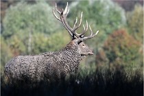 SteCroix 16-09-28 1104   Photos ACG 2016