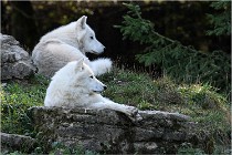 SteCroix 16-09-28 1154   Photos ACG 2016