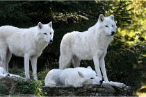 SteCroix 16-09-28 1210   Photos ACG 2016