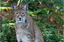 SteCroix 16-09-28 1226   Photos ACG 2016