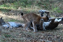 SteCroix 16-09-28 1238   Photos ACG 2016