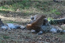 SteCroix 16-09-28 1239   Photos ACG 2016