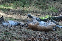 SteCroix 16-09-28 1240   Photos ACG 2016