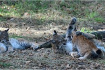 SteCroix 16-09-28 1242   Photos ACG 2016