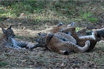 SteCroix 16-09-28 1247   Photos ACG 2016