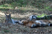 SteCroix 16-09-28 1252   Photos ACG 2016