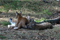 SteCroix 16-09-28 1256   Photos ACG 2016