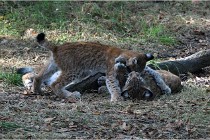 SteCroix 16-09-28 1261   Photos ACG 2016