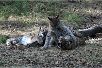 SteCroix 16-09-28 1264   Photos ACG 2016