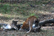 SteCroix 16-09-28 1271   Photos ACG 2016